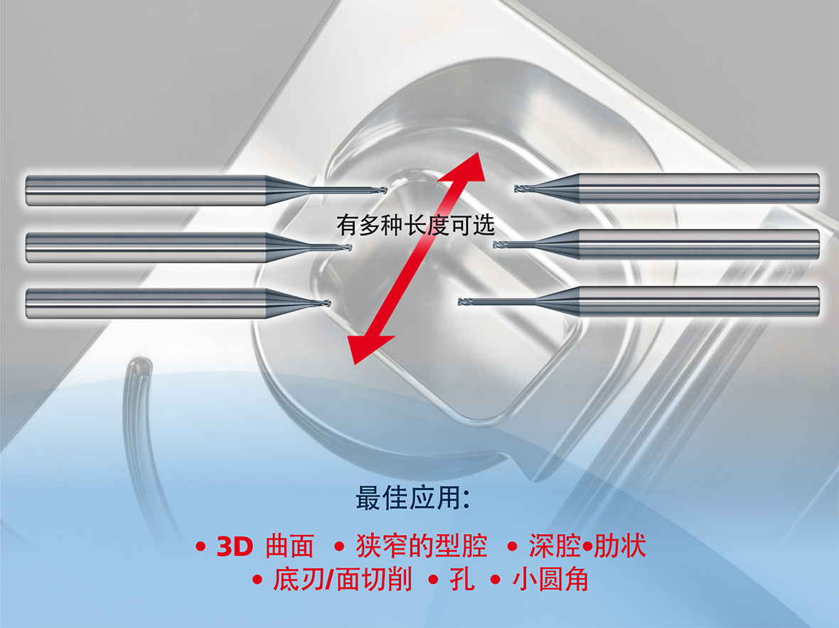 MicroX Slide 04